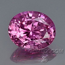 sapphire_pink_458.jpg