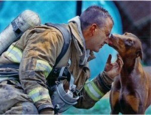 dobermankissingfireman.jpg