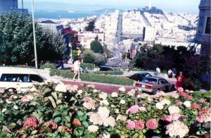 Lombard_st.jpg