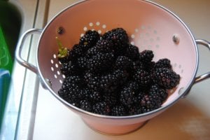 blackberrytart_010.jpg