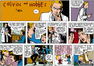 calvinandhobbes.gif