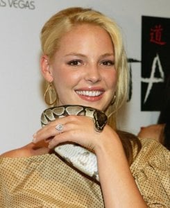 katherine-heigl-ering2.JPG