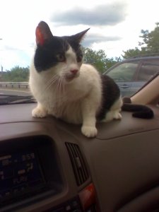 fred_on_garden_state_parkway.jpg