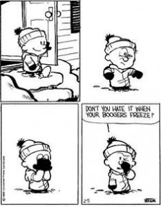 calvinandhobbesboogerfreezing.jpg