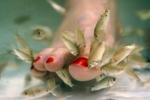 piranha-pedicure.jpg