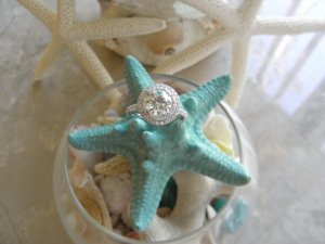 starfish2.jpg