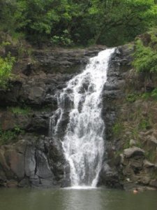 Rainforestwaterfall.jpg