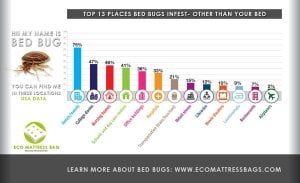 bed_bug_chart_grande.jpg