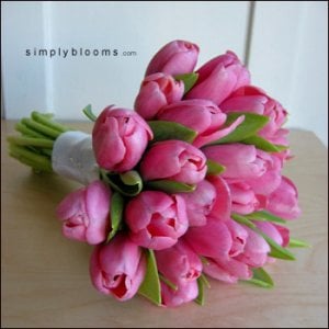 pink_tulips.jpg