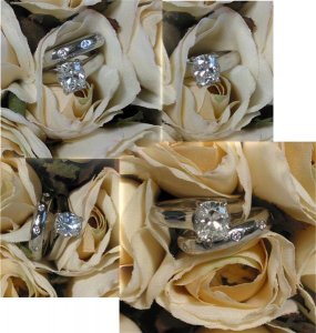 Sunny ring rose (Medium).jpg