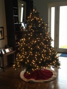 christmastree2015.jpg