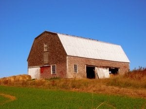 barn.jpg