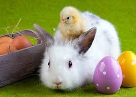 easterbunnyandchick.jpg