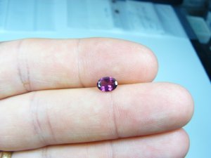 7x5_purple_garnet8.jpg