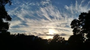 patio_at_sunset_2.jpg