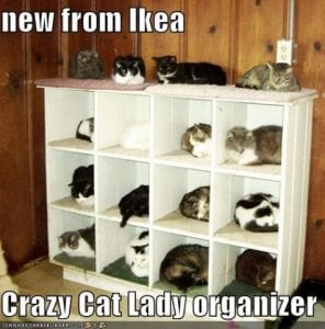 crazycatladyorganizer.jpg