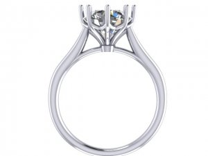 8prongs_ring1.jpg