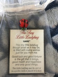 ladybug.jpg