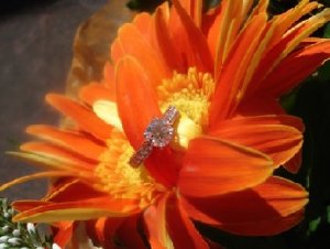 Gerbera Ring.jpg