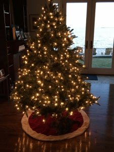 christmastree2016tommyunderneath.jpg