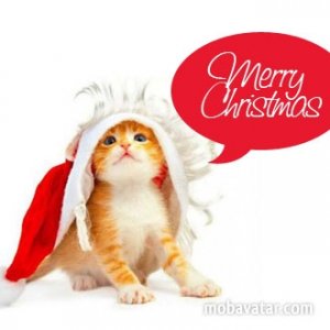 merry-christmas-cat-version-4.jpg