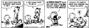 sunnyfieldcalvinandhobbes.jpg