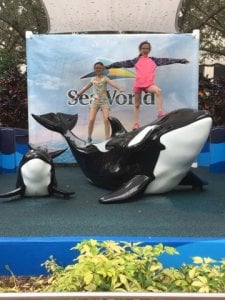 seaworld2017.jpg