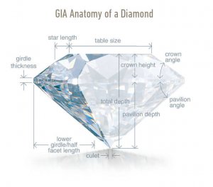 HOW TO ESTIMATE A DIAMOND'S PROPORTIONS | PriceScope