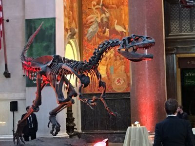 museumnaturalhistorydinosaurroon2017gala.jpg