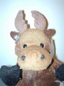 Mr Moose sparkle Sized.JPG