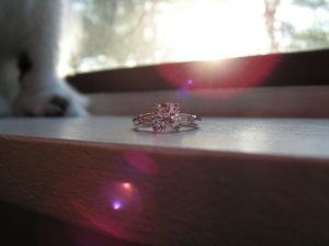 New Ring PICT0398a.jpg