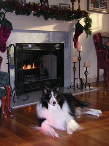 Nicky at fireplace.JPG