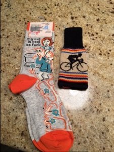 catsocksandbeercozy.jpg