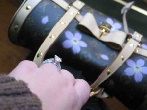 ringwithpurse2.jpg