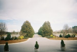 driveway.jpg