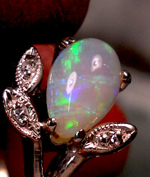 Pear%20Opal1.jpg