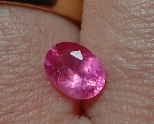 kiz-gfspinel2.jpg