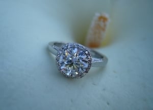 dreamingtacori033120114.jpg