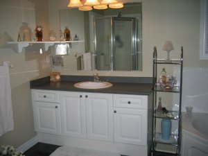 Ensuite Sink.jpg