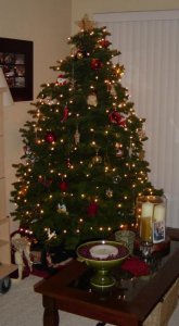 xmas tree 2003.jpg