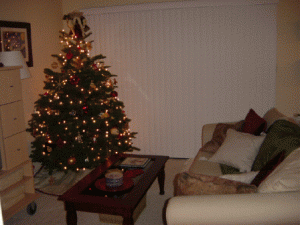 Xmas Tree 2002 007 sm.gif