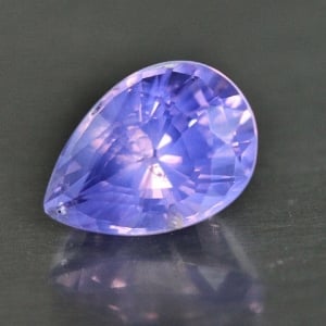 purplespinel.jpg