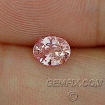 sapphire_pink_462_a.jpg