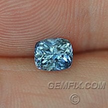 sapphire_montana_495_a.jpg