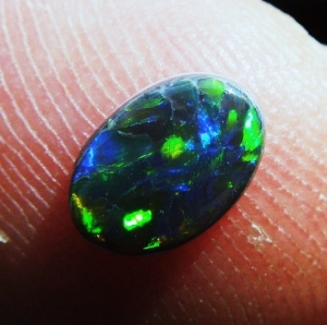 black_opal2.jpg