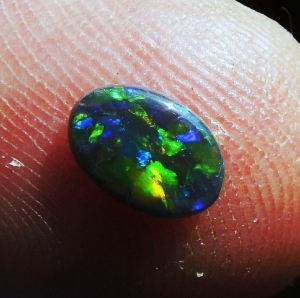 black_opal9.jpg