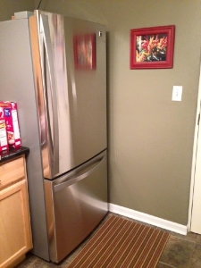 newfridge2.jpg