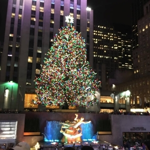 rockefellerchristmastree2015.jpg