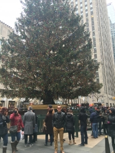 rockefellertree2015.jpg