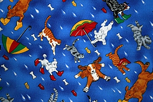 raining_cats_dogs_15.jpg